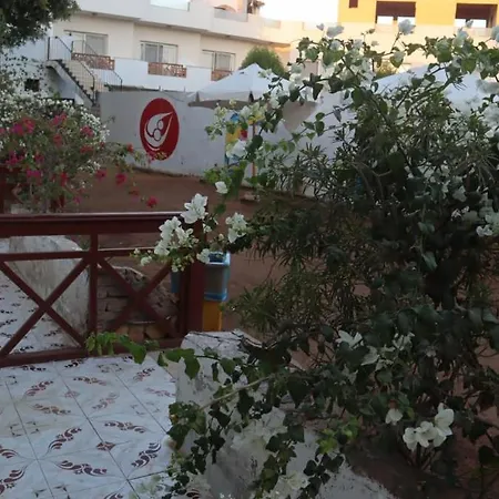 Tango Camp Dahab