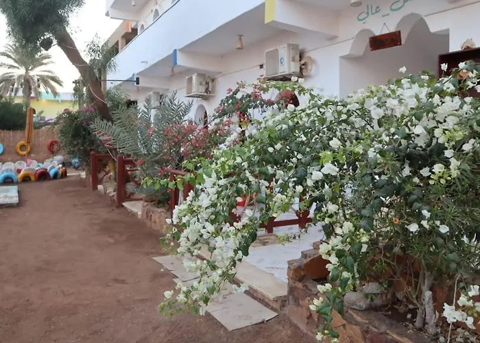 Tango Camp Dahab
