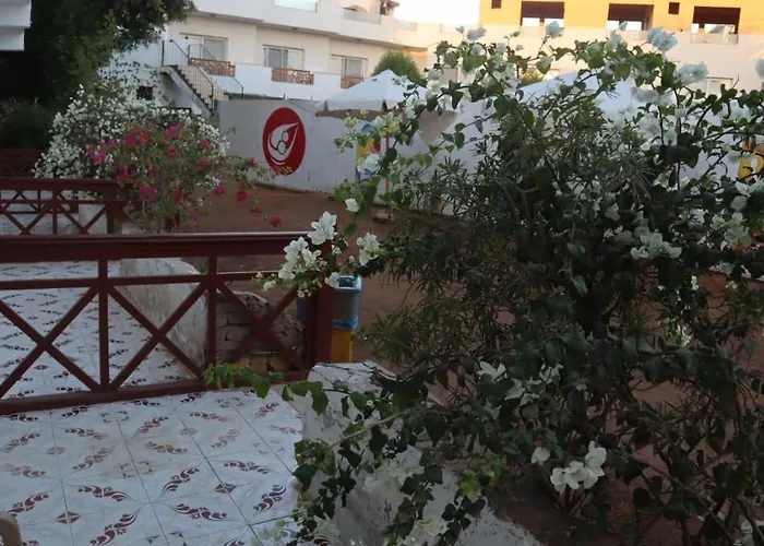 Tango Camp * Dahab